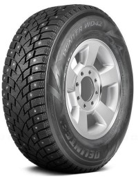 Delinte Winter WD42 215/60R17 96T